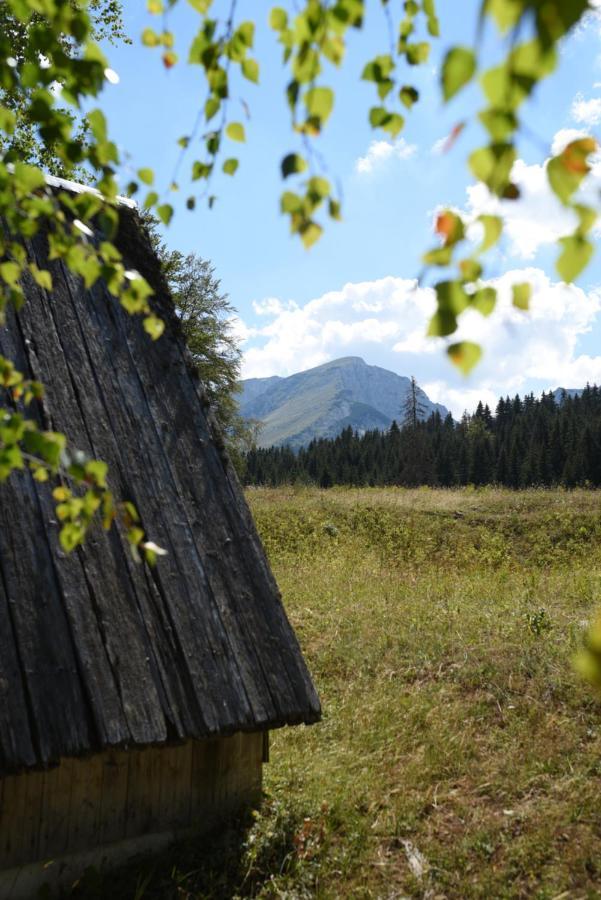 Žabljak Vukovic House-Moticki Gajヴィラ エクステリア 写真